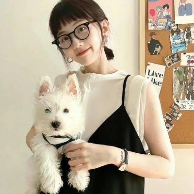 完美的主人